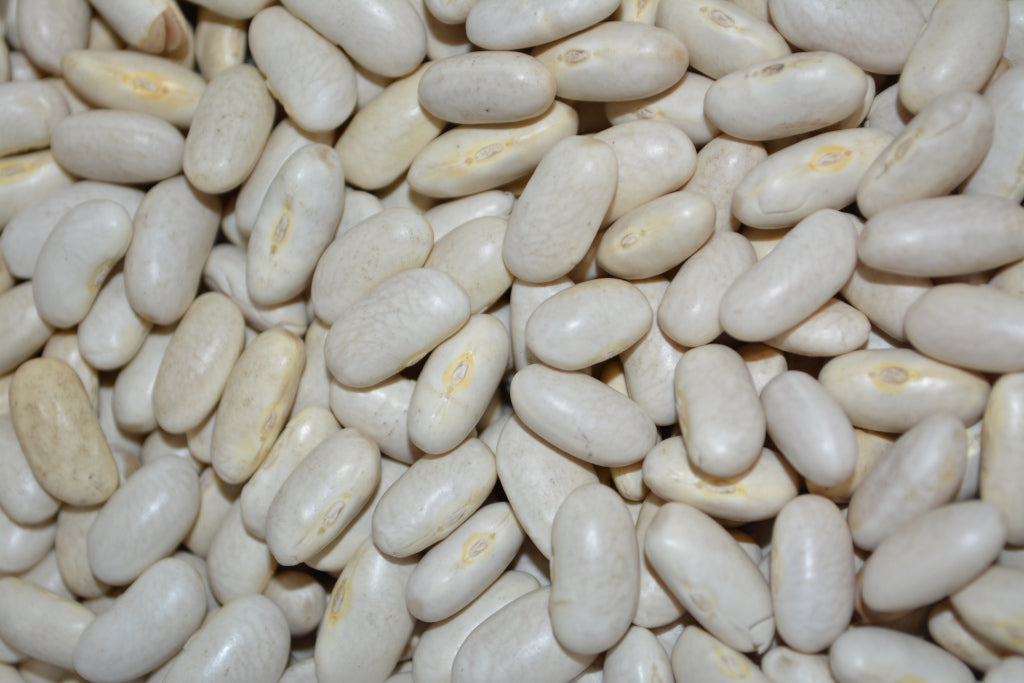 Beans White Kidney 8oz