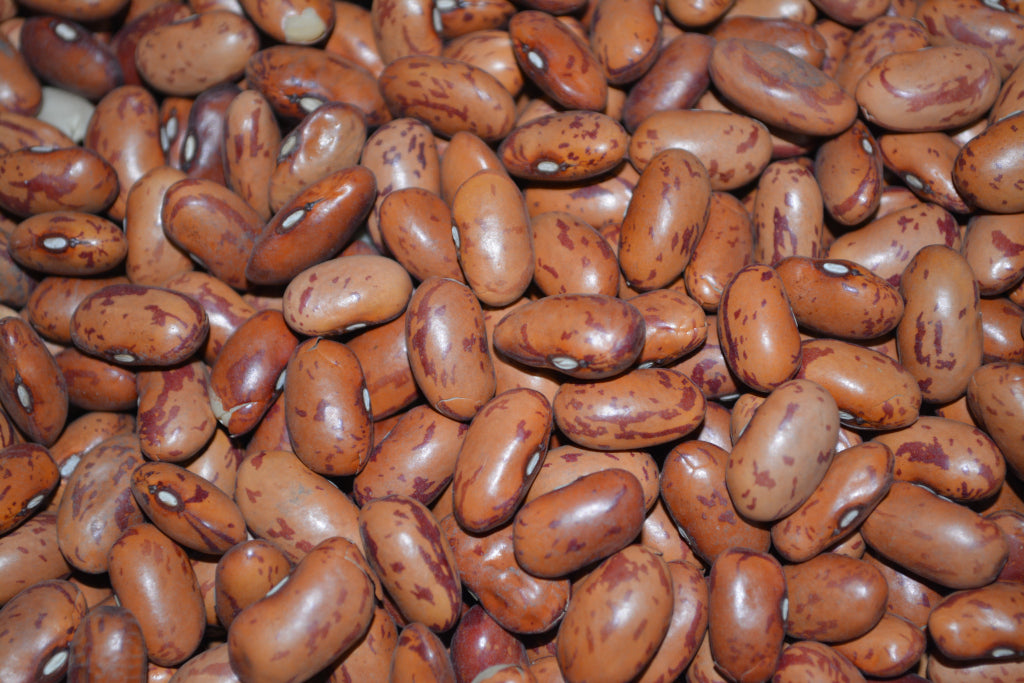 Beans Pinto 8oz