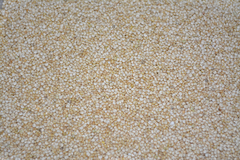 Quinoa White 8oz