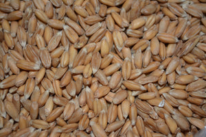 Kernels Soft Wheat 8oz